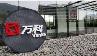 万科爆料最新消息是谁的,揭秘神秘幕后操控者身份！  第1张